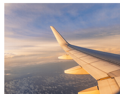 Plane wing